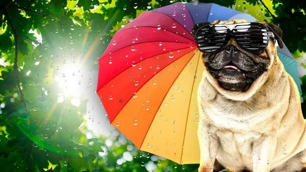 Погода в Україні 15 серпня: спека до +33°C і гідрологічна небезпека